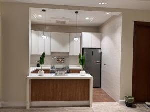 Modern Stylish and Entry Smart Apartment