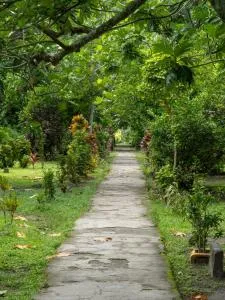 Tent 1 - Naviti Island