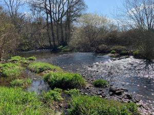 The Old Mill Cottagein the heart of Devon
