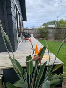 Pine Lodge modern and quiet retreat in cowes