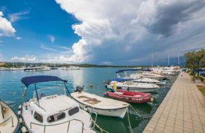 Apartment in Klimno - Insel Krk 54247