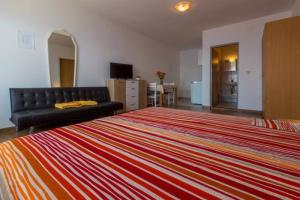 Apartments in Dramalj 41216