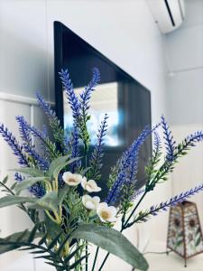 Casa Rural El Pequeño Oasis