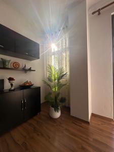 J & Nilsons Apartment In Shkodra Center