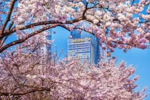 上海浦东丽晶酒店 - 浦东