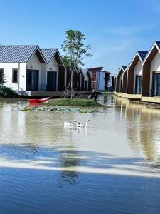 ซิตี้ รีสอร์ท