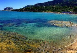 La piccola Azalea sul mare
