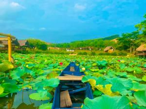 Đồi Dẻ Eco HomeStay
