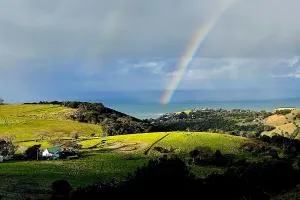 Saddleback Grove Kiama - Foxground