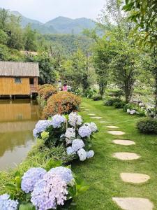 Suntrail Retreat Sapa