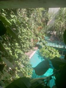 La Pochita