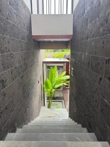 Cozy Luxe 3BR Villa in The Heart of Batu Bolong, Canggu