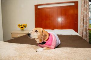 Hotel Colonial Tijuana