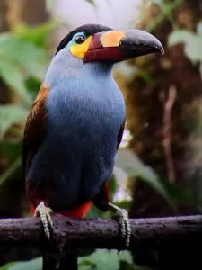 Traveller House - San Carlos