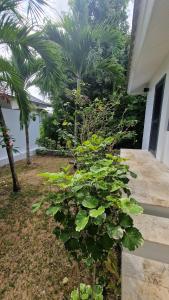 Steberg 6, Villa with sea view in Meanam