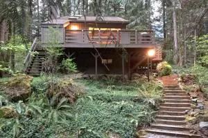 Mt Baker Lodging - Cabin story cabin in the woods Free wifi - Deming