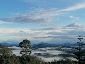 The Jungle Life Homestay Thangamalay Sanctuary Haputale by Gisela Sivam