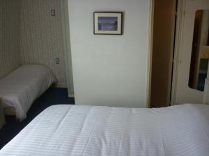 Hotels Belle Epoque : photos des chambres