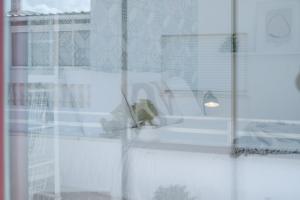 Triplex- City center Lagos