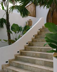 Mayiki Boutique Hotel