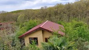 Yellow villa - Demirköy