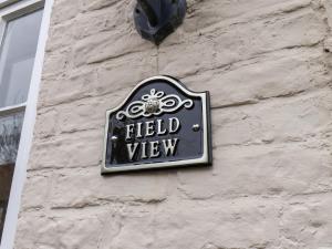 Field View