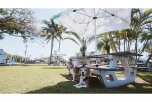 Discovery Parks - Bargara