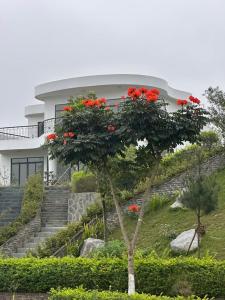 3BR Lake View Ivory Hoa Binh Villa