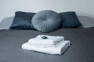 Old town city center apartment 3