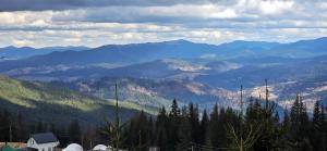 Маріна Драгобрат