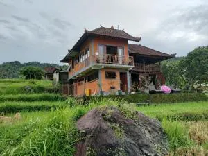 Sambangan Padi View - Sudaji