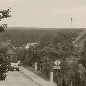 Namelis 1954 - Mielagėnai