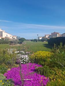 Appartement cosy et lumineux à 50 m de la plage
