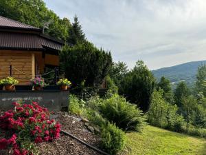 Rudera u Sióstr DREWNIANY DOMEK Stróża