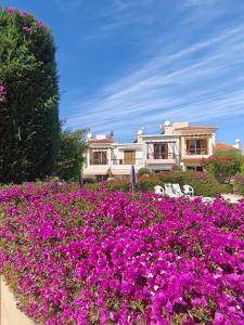 Eva Gardens corner house with stunning garden and huge swimming pool next to CORAL BAY