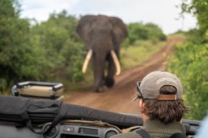 Sungulwane Private Game Lodge