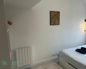 Appartements Daisy-Stations,Grd Palais,Zenith&Center : photos des chambres