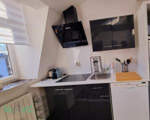 Appartements Daisy-Stations,Grd Palais,Zenith&Center : photos des chambres