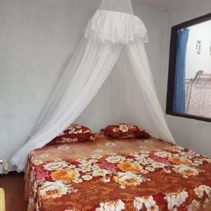 Explore Sumatras Wonders