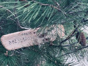 Apartment Rossella free parking img45