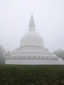 Ház a Hold utcában