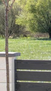 Ház a Hold utcában