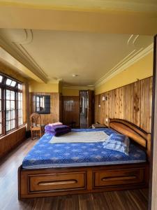 Himalayan Window