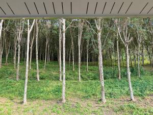 Villa Miyoko Ko Yao Noi Enjoy natures beauty and stunning sunsets