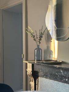 Appartement Laval Centre