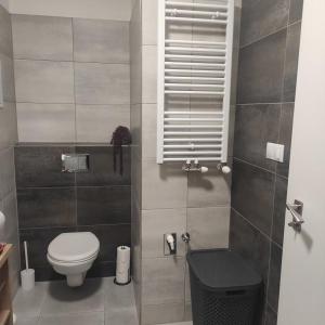 Apartmán LIPNO A3 318-9