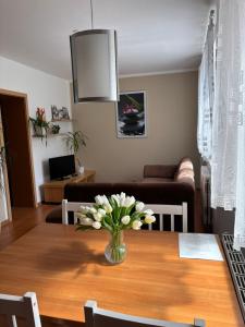 Ubytování v soukromí Anička