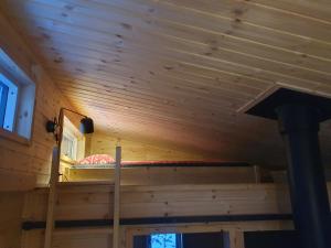 Tiny House in the woods