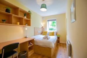 28 - Comfortable 2-Bed in Galway City
