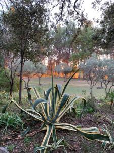 Villa Tourmarin à Flayosc